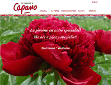 Tablet Screenshot of pivoinescapano.com